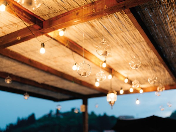 Kamıştan Neler Yapılır?