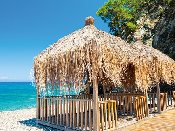 Oteller İçin Saz Dekorasyon Önerileri