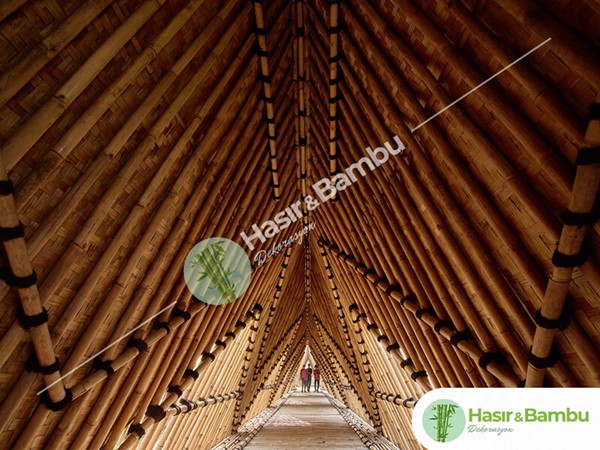 Bambu Çatı