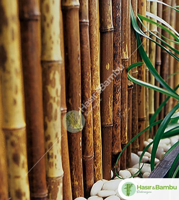 Bambu Dekorasyon