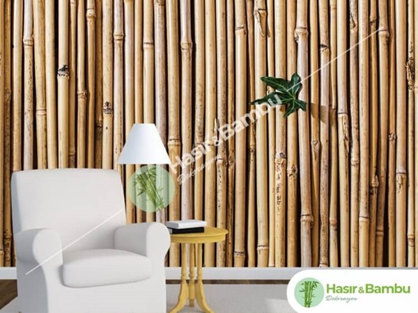 Dekorluk Parlak Kamış