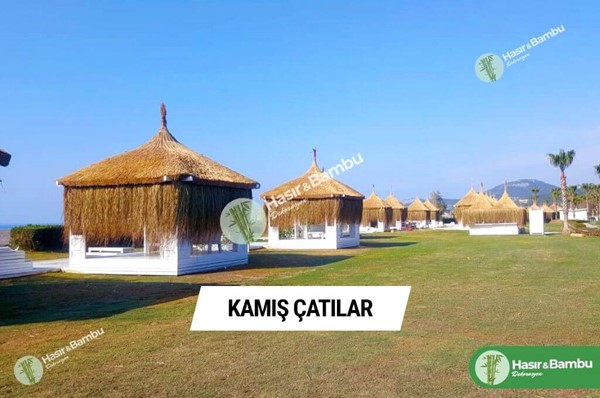 Kamış Çatılar