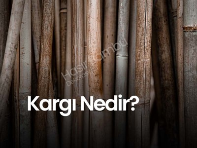 Kargı Nedir?