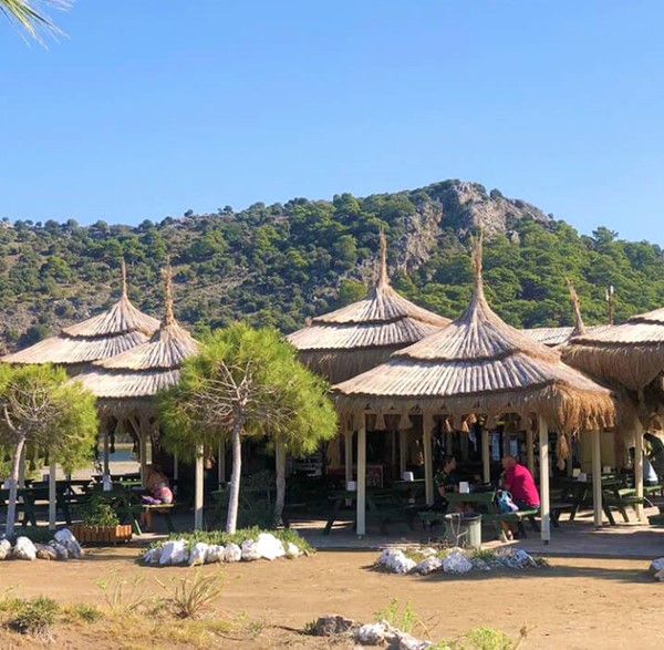 Doğal Ot Kaplama