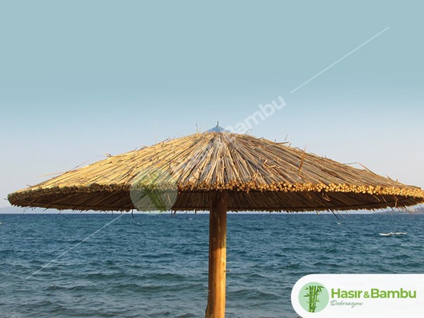Kamış Şemsiyeler